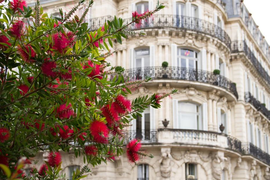 Les Quartiers à Éviter à Montpellier