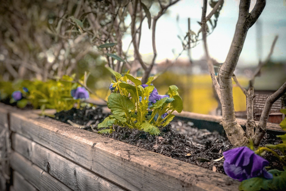 Étanchéité jardinière en parpaing