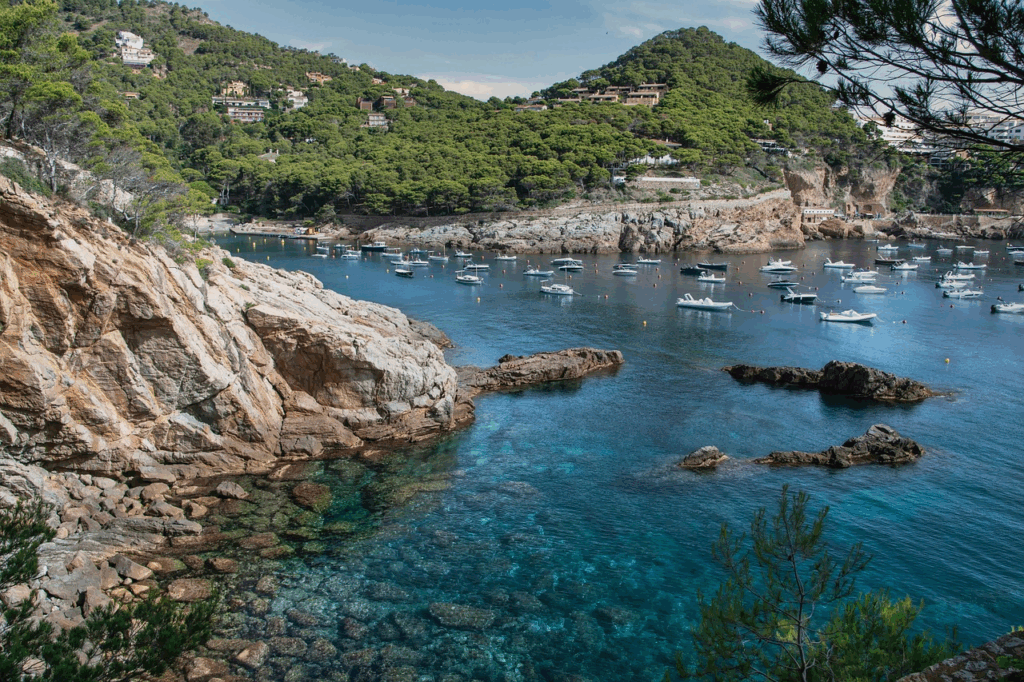 Plage de la Pointe d'Endoume